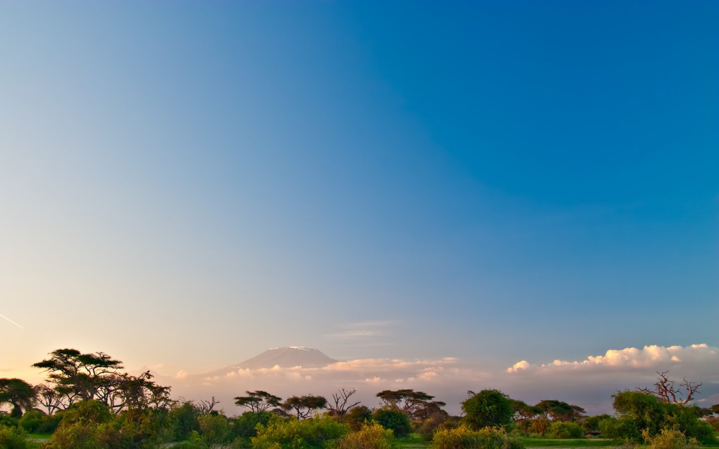 How about this vista?