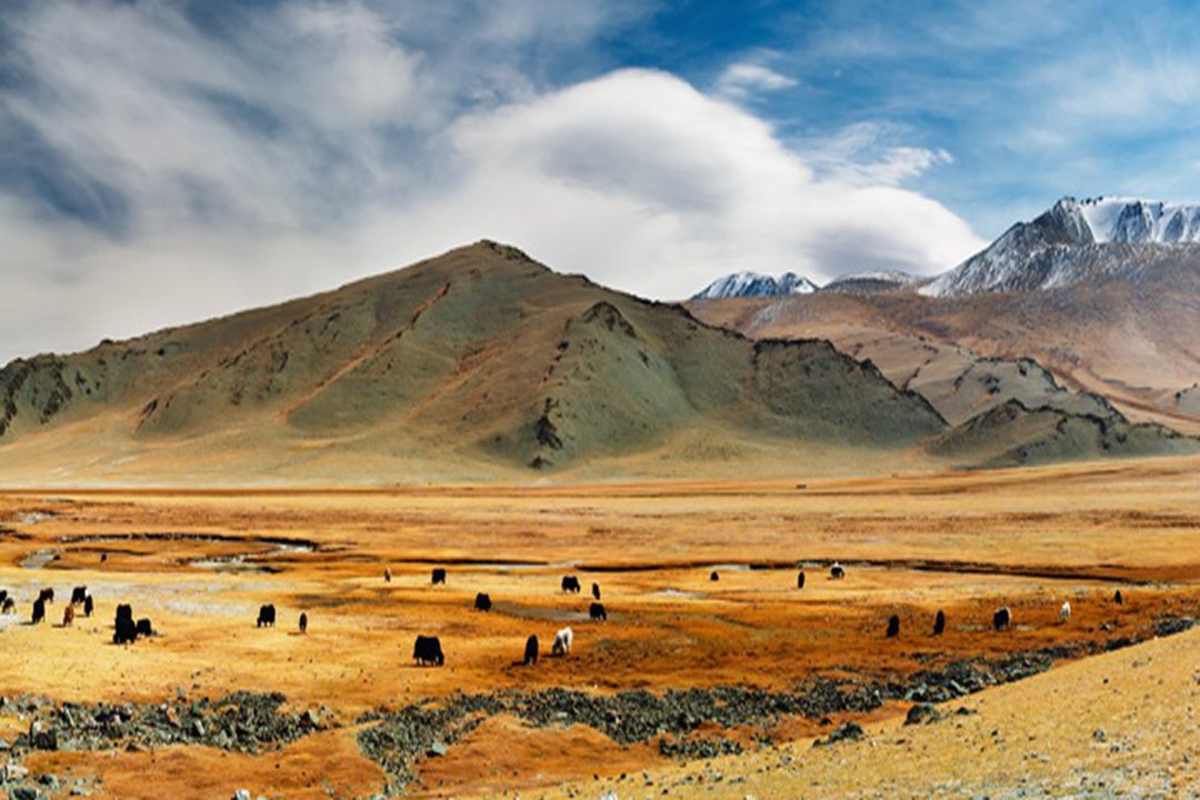 The beautiful expanse that is Mongolia